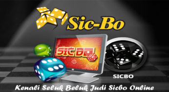 Kenali Seluk Beluk Judi Sicbo Online